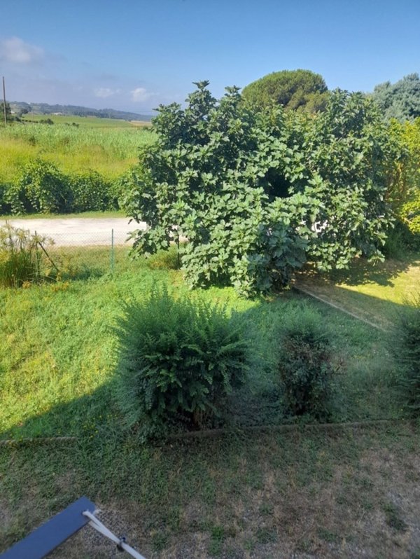 appartamento in vendita a Crespina Lorenzana in zona Cenaia