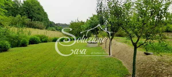 terreno agricolo in vendita a Crespina Lorenzana in zona Lorenzana