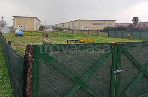 terreno agricolo in vendita a Crespina Lorenzana in zona Lavoria