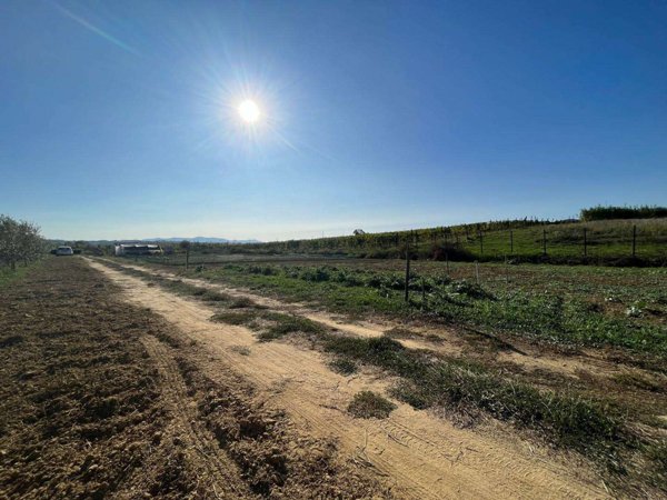 casale in vendita a Crespina Lorenzana in zona Cenaia