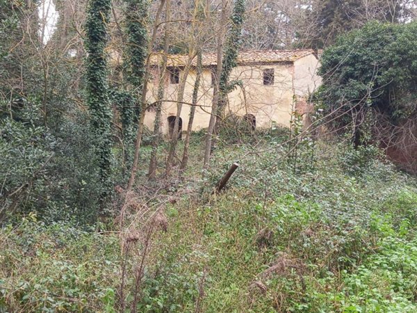 casa indipendente in vendita a Crespina Lorenzana in zona Crespina