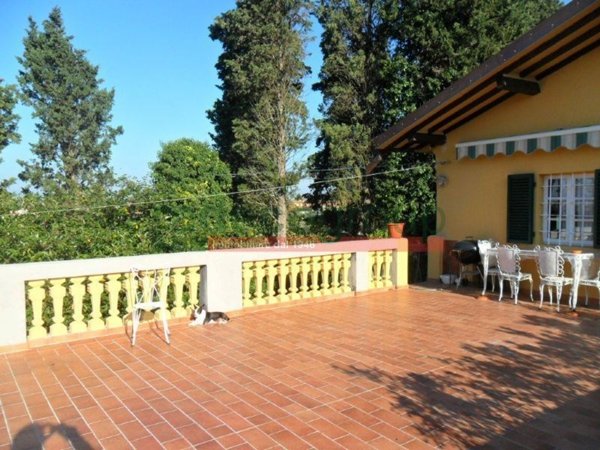 appartamento in vendita a Crespina Lorenzana