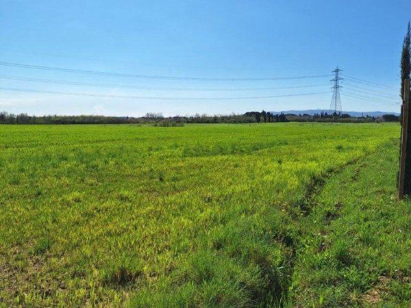 terreno agricolo in vendita a Crespina Lorenzana in zona Lorenzana