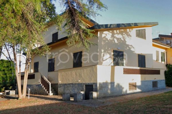 casa indipendente in vendita a Crespina Lorenzana in zona Cenaia