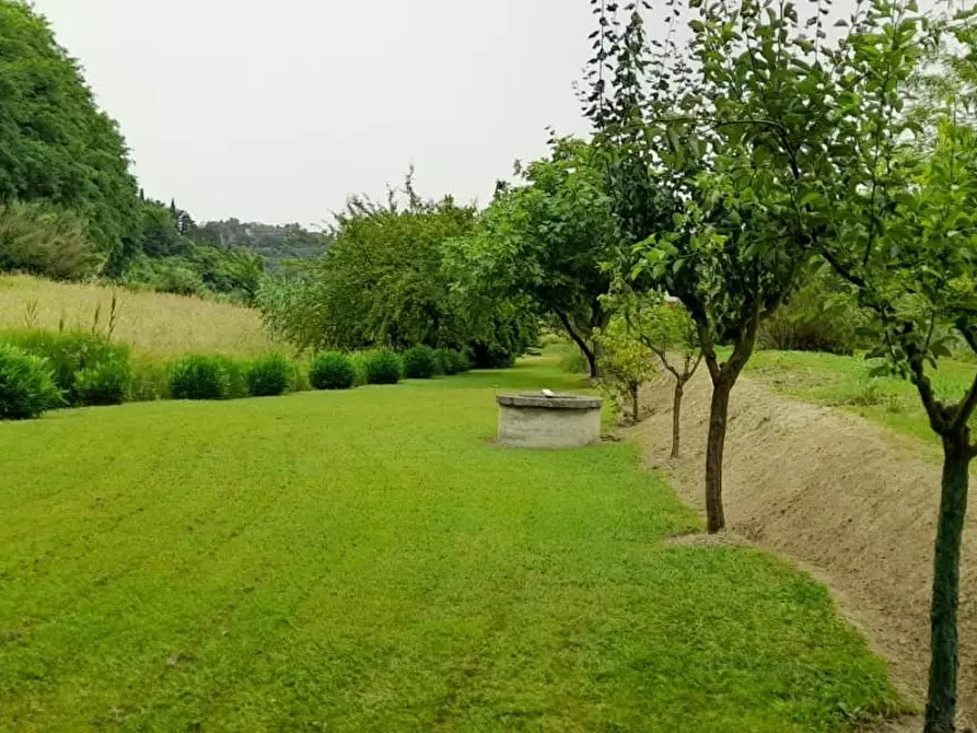terreno agricolo in vendita a Crespina Lorenzana in zona Lorenzana