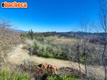 terreno agricolo in vendita a Crespina Lorenzana in zona Crespina