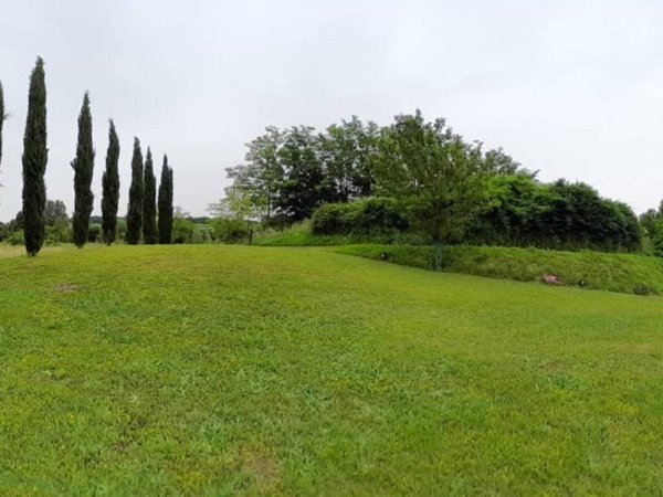 terreno agricolo in vendita a Crespina Lorenzana in zona Lorenzana