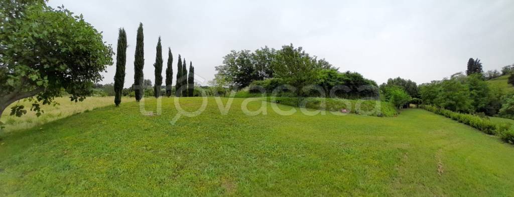 terreno agricolo in vendita a Crespina Lorenzana in zona Lorenzana