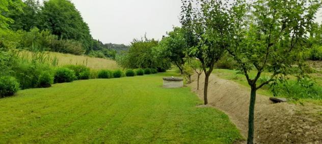 terreno agricolo in vendita a Crespina Lorenzana in zona Lorenzana