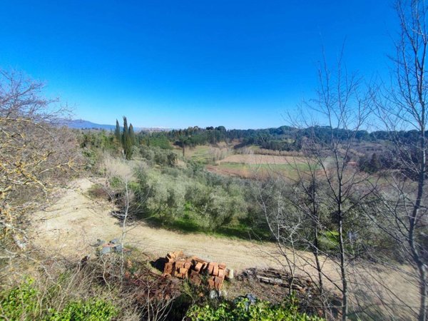terreno agricolo in vendita a Crespina Lorenzana in zona Lorenzana