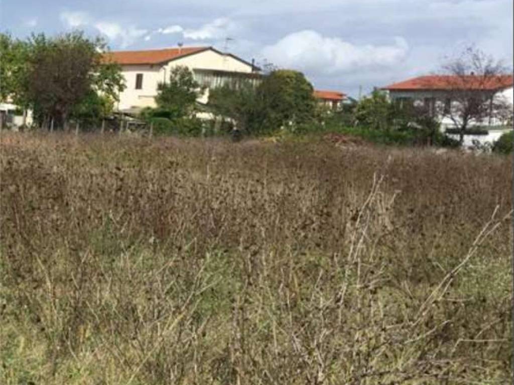 terreno agricolo in vendita a Crespina Lorenzana in zona Cenaia