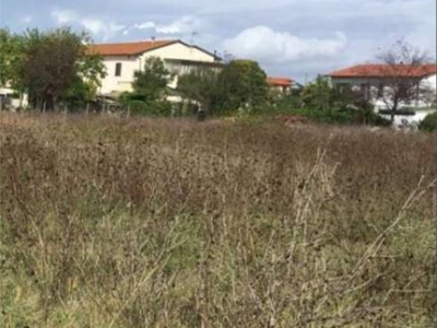 terreno agricolo in vendita a Crespina Lorenzana in zona Cenaia