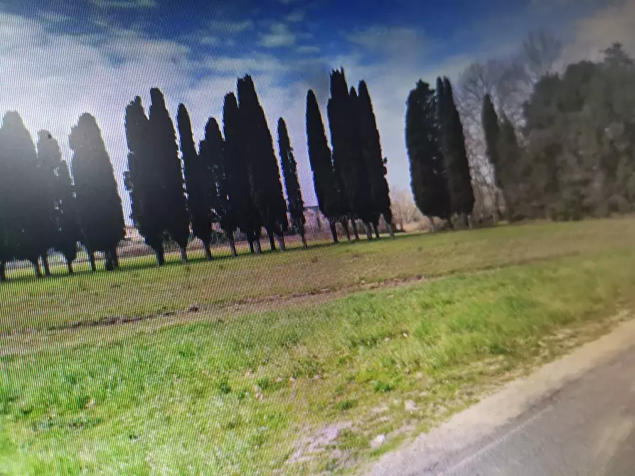 casa indipendente in vendita a Crespina Lorenzana in zona Lavoria