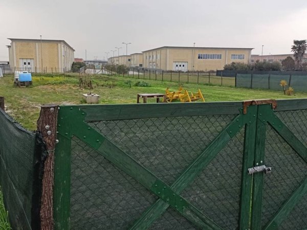 terreno agricolo in vendita a Crespina Lorenzana in zona Lavoria