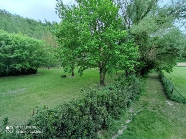 casa indipendente in vendita a Crespina Lorenzana in zona Crespina