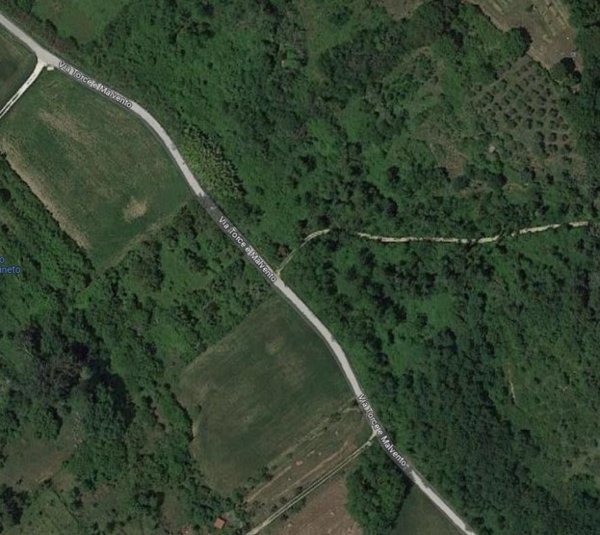 terreno agricolo in vendita a Crespina Lorenzana in zona Crespina