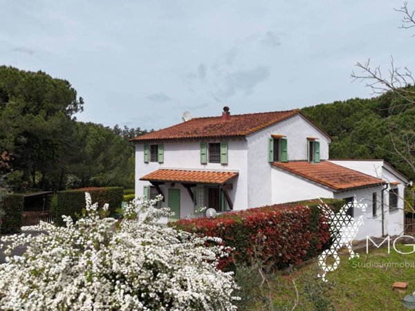 casa indipendente in vendita a Crespina Lorenzana in zona Crespina
