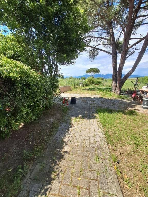 casa indipendente in vendita a Crespina Lorenzana in zona Lorenzana