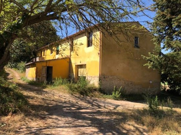 azienda agricola in vendita a Crespina Lorenzana in zona Crespina