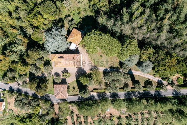 casa indipendente in vendita a Crespina Lorenzana in zona Crespina