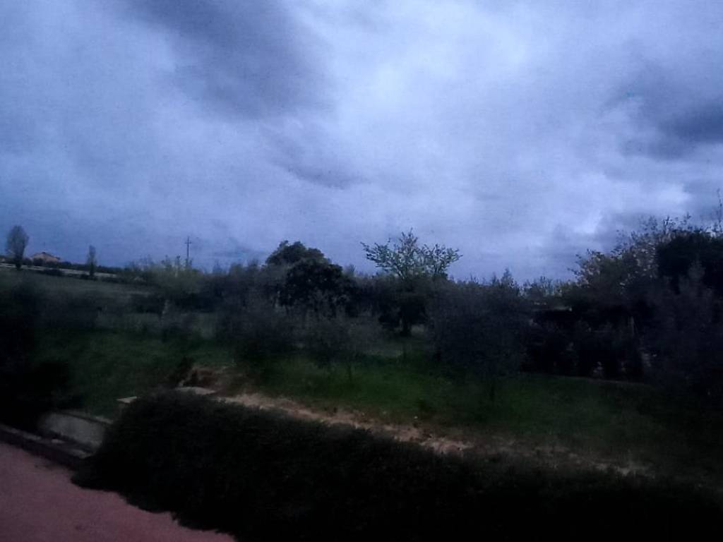 casa indipendente in vendita a Crespina Lorenzana in zona Crespina