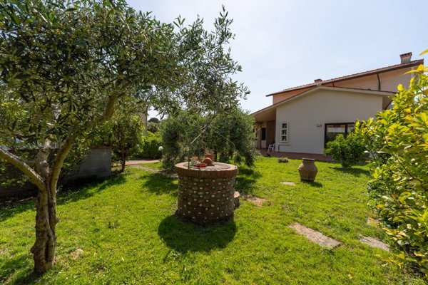 casa indipendente in vendita a Crespina Lorenzana in zona Crespina