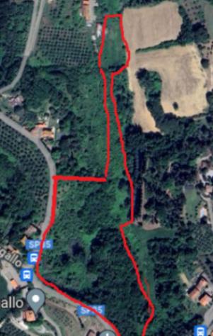 terreno agricolo in vendita a Crespina Lorenzana in zona Lorenzana
