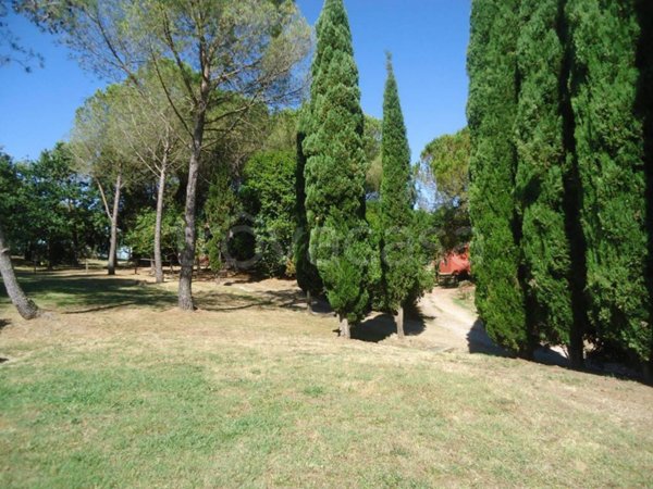 appartamento in vendita a Crespina Lorenzana in zona Lorenzana