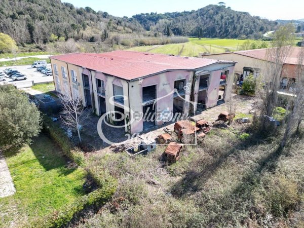 capannone in vendita a Crespina Lorenzana