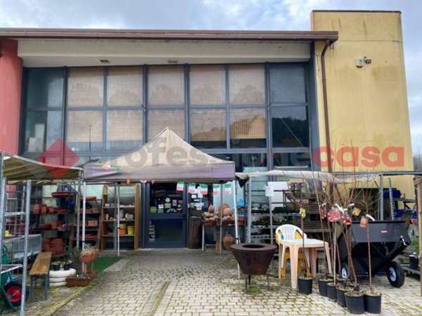 negozio in vendita a Crespina Lorenzana in zona Lorenzana