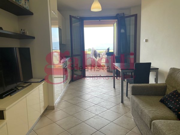 appartamento in vendita a Crespina Lorenzana in zona Cenaia