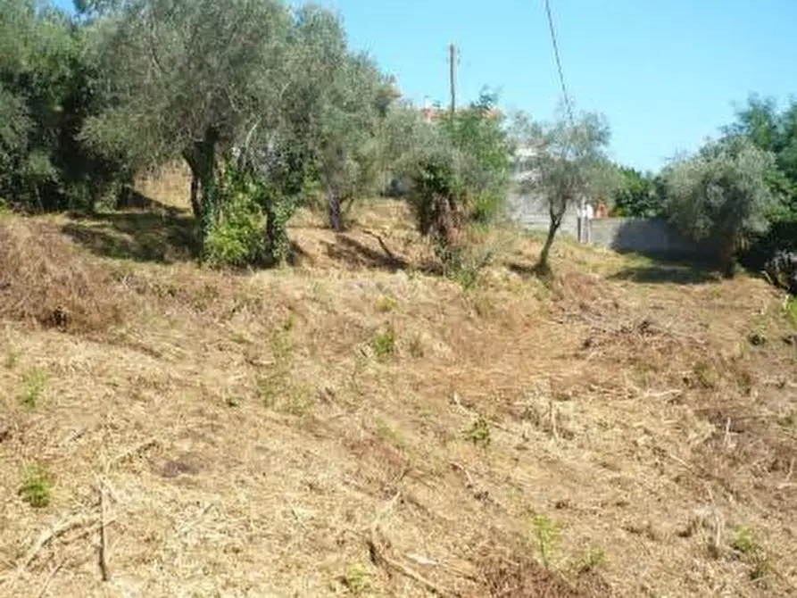 casa indipendente in vendita a Crespina Lorenzana in zona Lorenzana