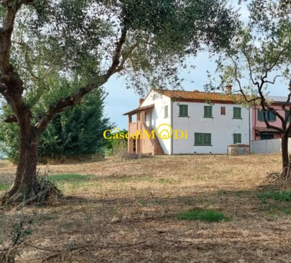 casa indipendente in vendita a Crespina Lorenzana in zona Lavoria