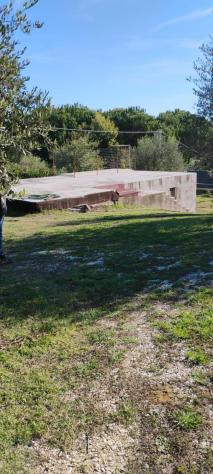 terreno agricolo in vendita a Crespina Lorenzana in zona Crespina