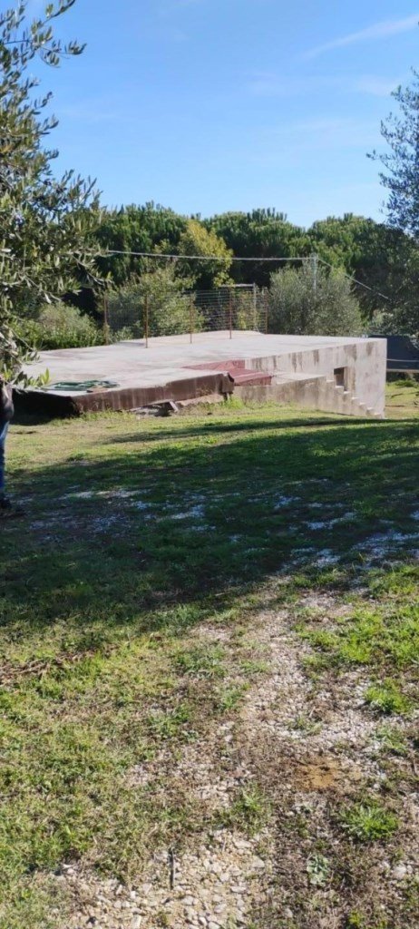 terreno agricolo in vendita a Crespina Lorenzana in zona Siberia