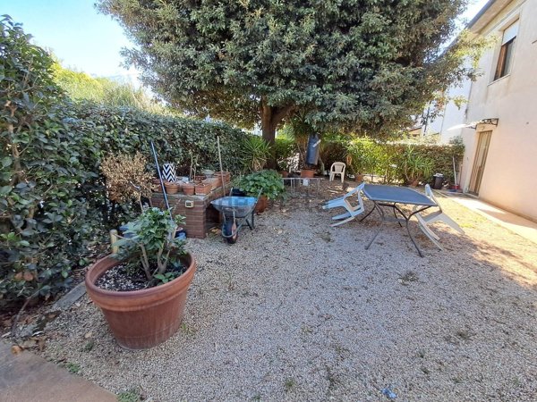 esavano in vendita a Crespina Lorenzana in zona Crespina
