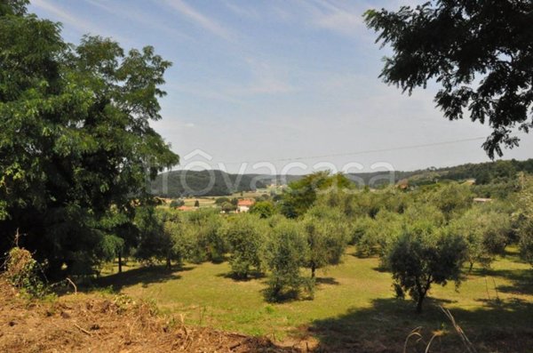 terreno agricolo in vendita a Crespina Lorenzana in zona Lorenzana
