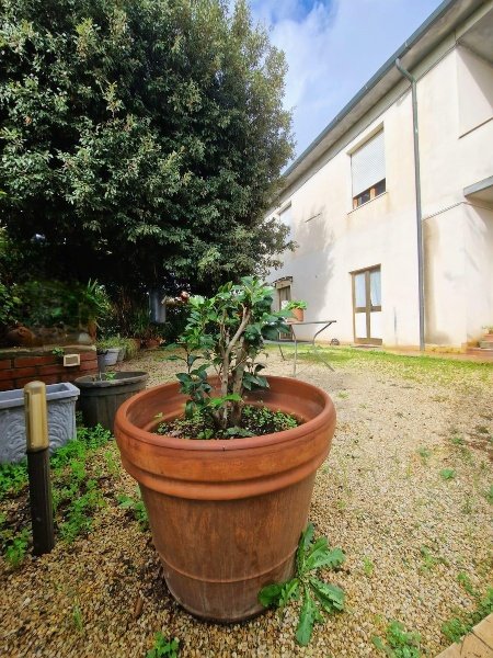 casa indipendente in vendita a Crespina Lorenzana in zona Lavoria