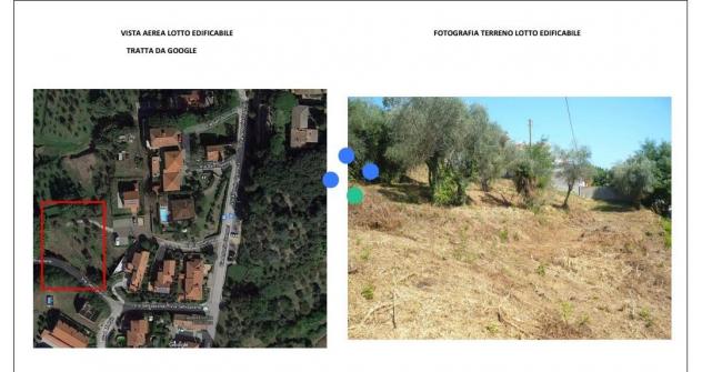 terreno agricolo in vendita a Crespina Lorenzana in zona Lorenzana