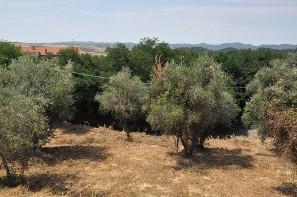 casa indipendente in vendita a Crespina Lorenzana in zona Lorenzana