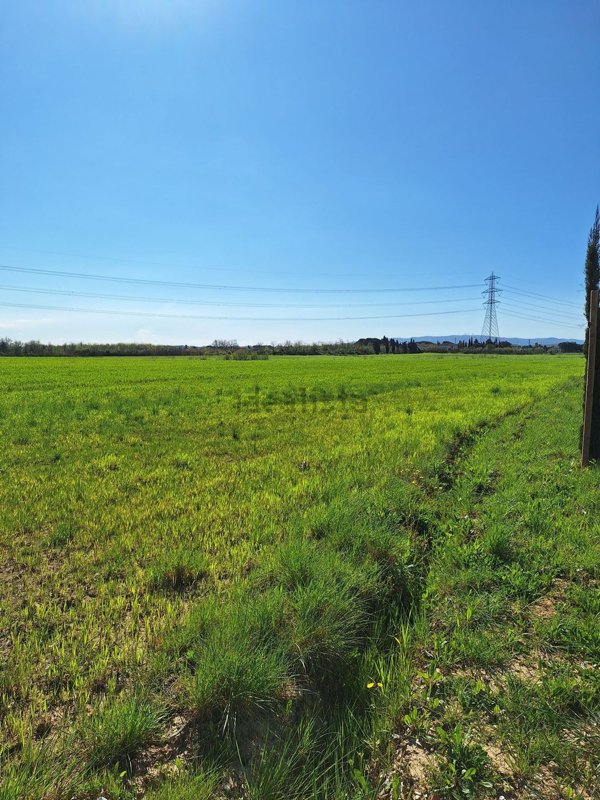 terreno edificabile in vendita a Crespina Lorenzana in zona Lorenzana