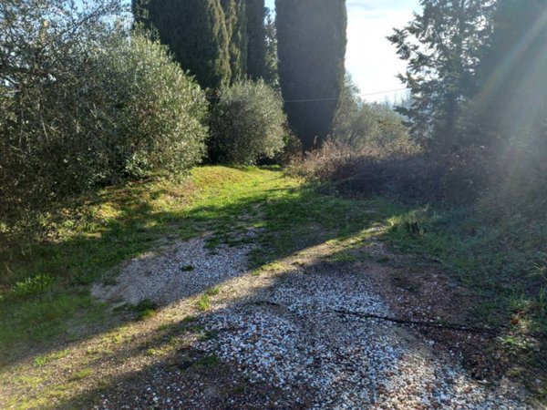 terreno agricolo in vendita a Crespina Lorenzana in zona Crespina