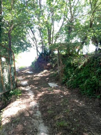 terreno agricolo in vendita a Crespina Lorenzana in zona Tremoleto