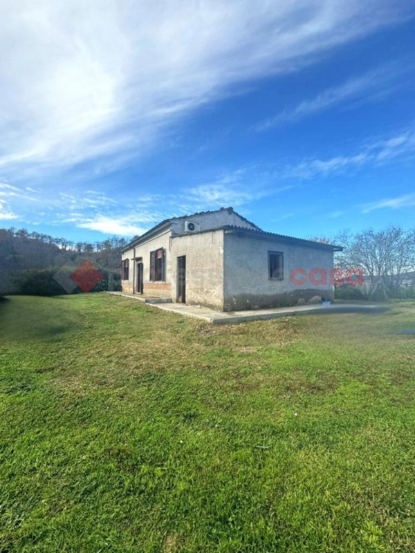 casa indipendente in vendita a Crespina Lorenzana in zona Lorenzana