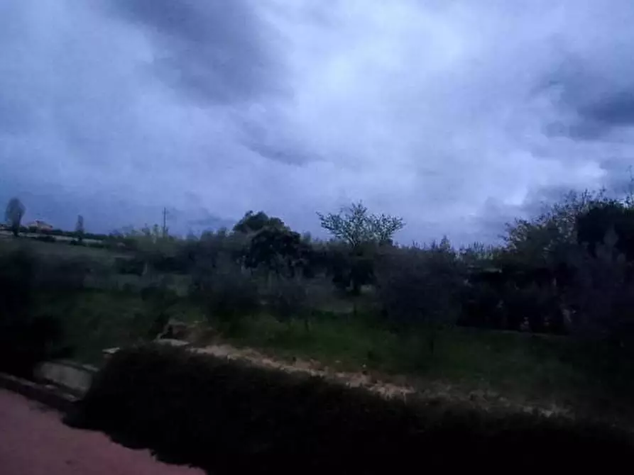 casa indipendente in vendita a Crespina Lorenzana in zona Crespina