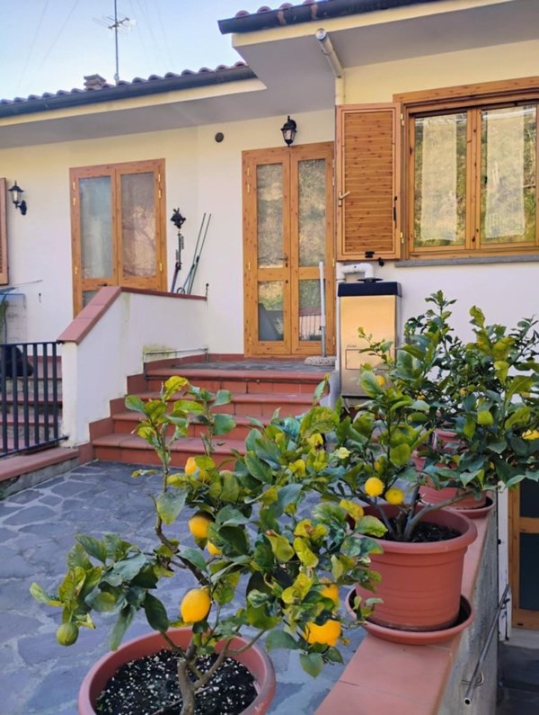 casa indipendente in vendita a Crespina Lorenzana in zona Lorenzana