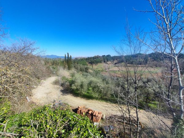 terreno agricolo in vendita a Crespina Lorenzana