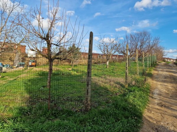 terreno agricolo in vendita a Crespina Lorenzana in zona Cenaia