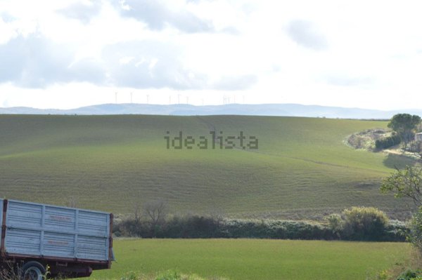 appartamento in vendita a Crespina Lorenzana
