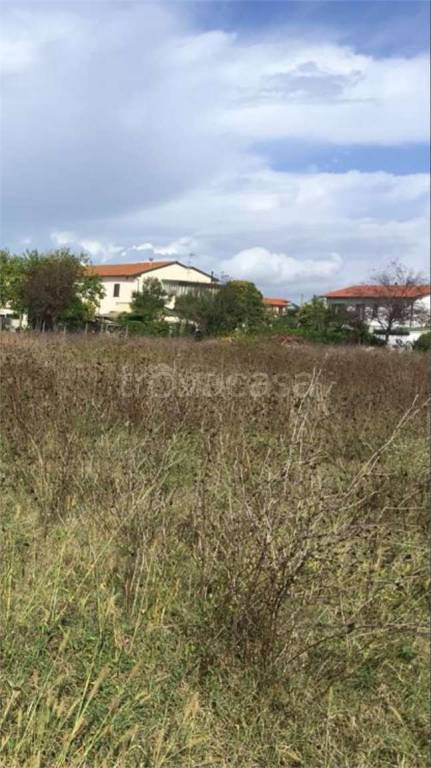 terreno in vendita a Crespina Lorenzana in zona Cenaia